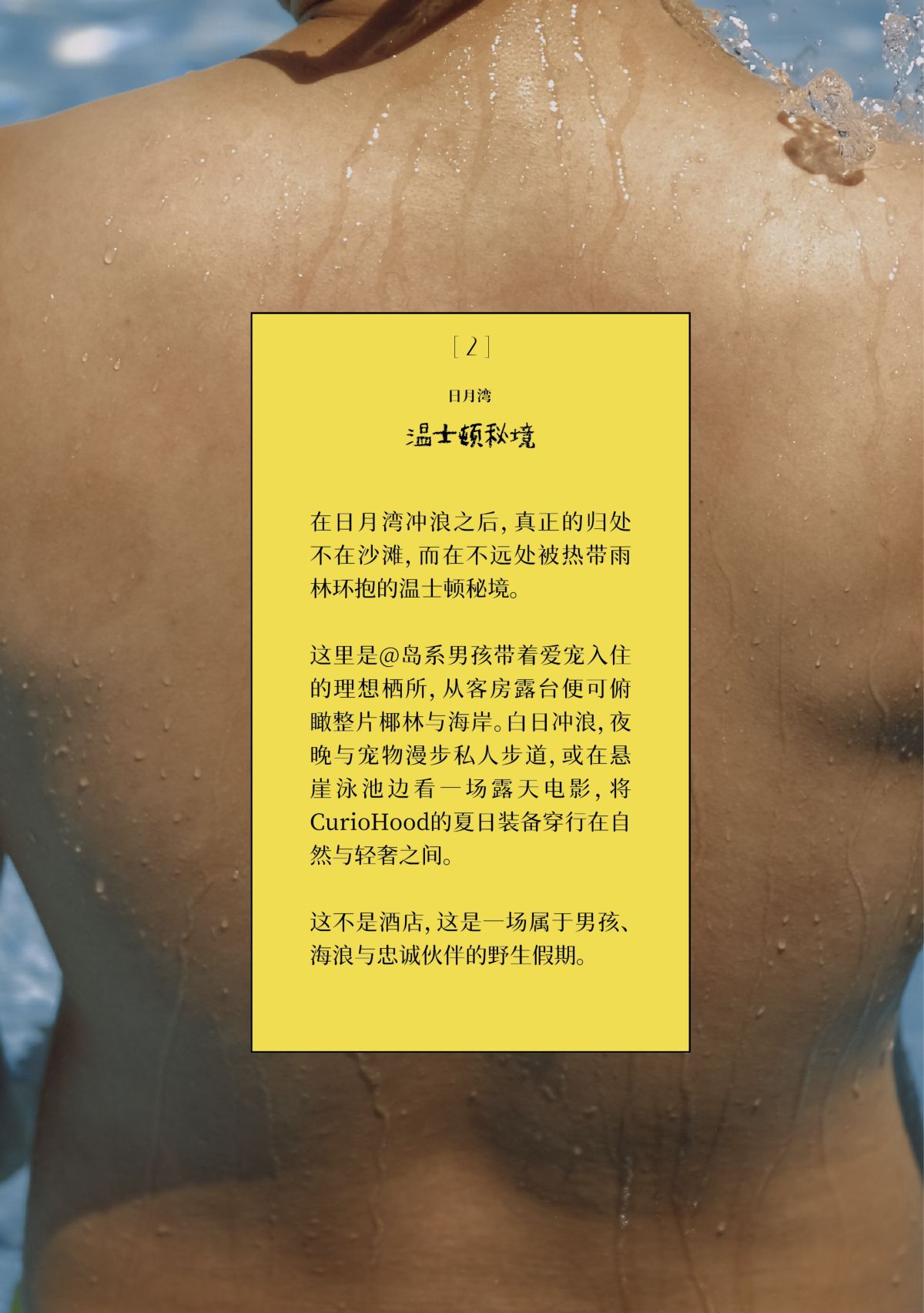 内页